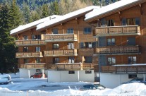 Bâtiment colletifs – PPE 6 à 7 appartements à Morgins